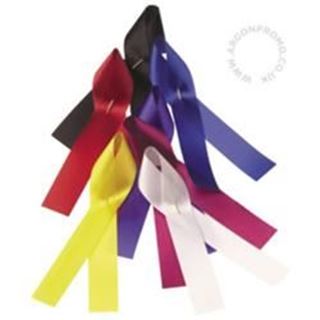 Picture of Campaign Ribbon