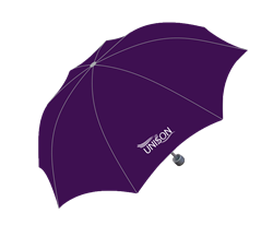 Picture of Telescopic Umbrella