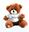 Picture of Paw Bear