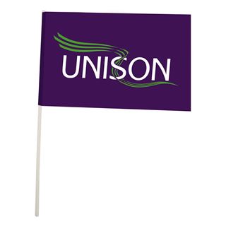 Picture of Hand Waving Flag
