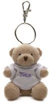 Picture of Teddy Keyring