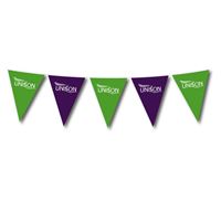 Picture of Paper Bunting
