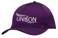 Picture of Purple Baseball Cap