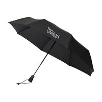 Picture of Mini Umbrella
