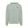 Picture of Iceberg Green Hoodie